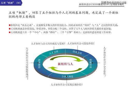 新組織設(shè)計(jì)下的CRSM模型與LWC咨詢服務(wù)模式 引領(lǐng)信息技術(shù)咨詢服務(wù)新范式